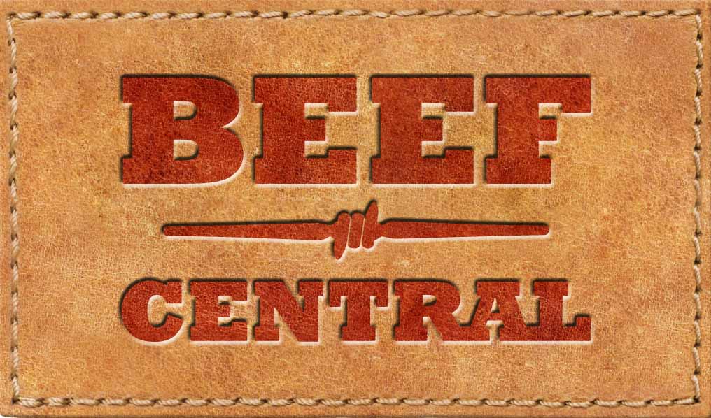 Beef Central logo